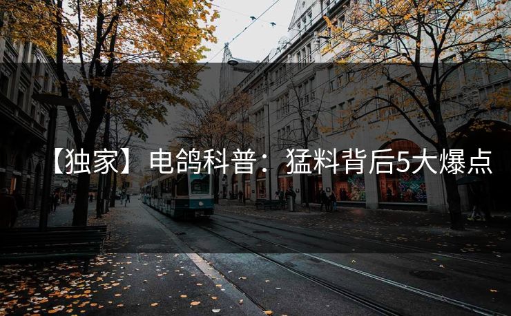 【独家】电鸽科普：猛料背后5大爆点